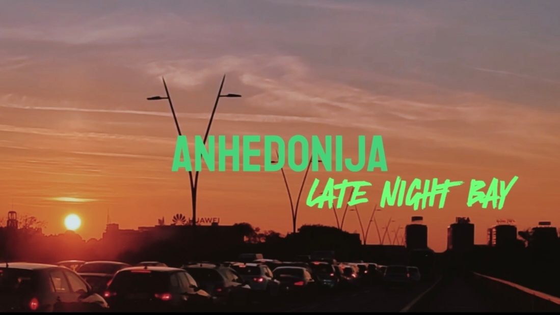 Anhedonija cover